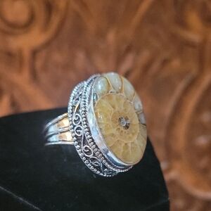Elegant 925 Silver Natural Ammonite Fossil Ring Sz 9 1/2 Elegant Velvet Gift Box